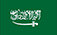 Zhejiang Xinhang Electric Co., Ltd. ( Zhejiang NENA Electric Co., Ltd. )